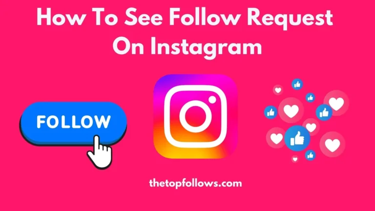 How To See Sent Follow Request On Instagram? Updated Guide 2024